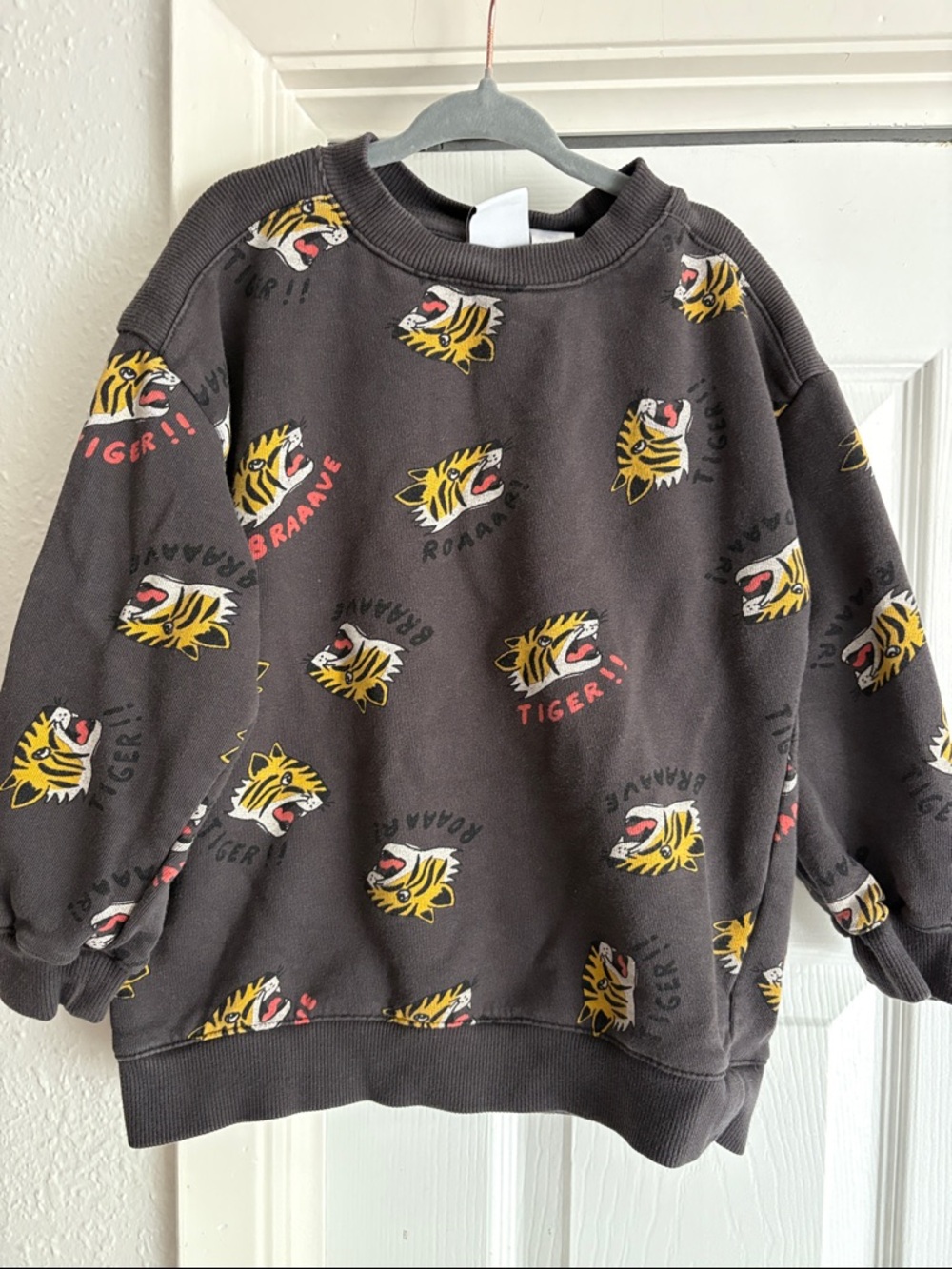 Zara Kids 4-5Y Tiger Sweatshirt Plush Sweater